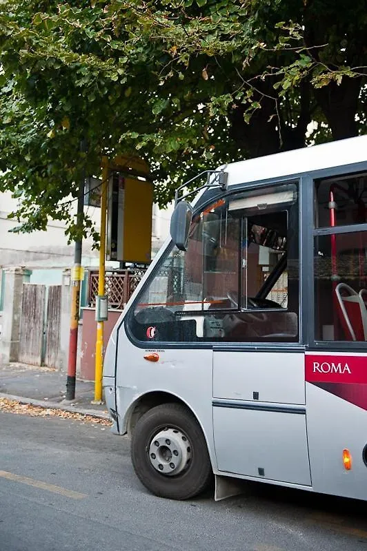 Cozy Artsy Apt Near The Vatican Ρώμη Διαμέρισμα